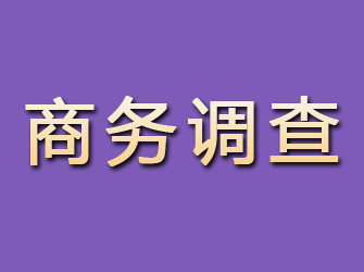 松溪商务调查